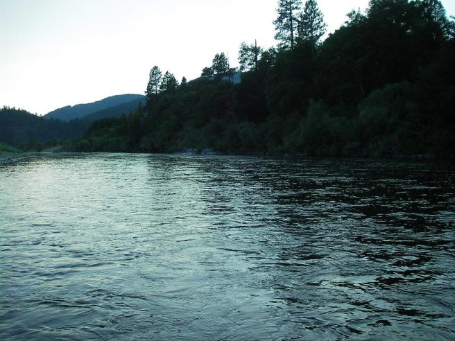 Swinging through the honey pot of the run at just about the right time. It was here, my fly hanging on the dangle, that I was caught daydreaming by a freight train. Guess I'll need to go back.