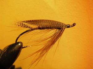 Mixing very soft coot with slightly stiffer pheasant rump to see how it responds as a "do all" fly for varying current and swing speeds.