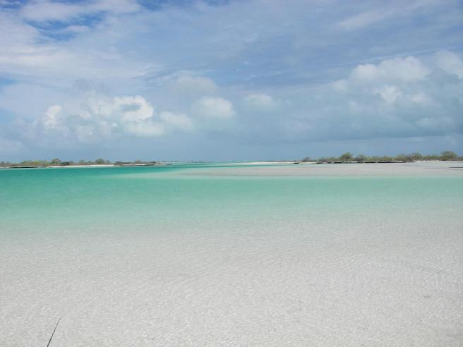A maze of channels, flats and islands at the back of the lagoon