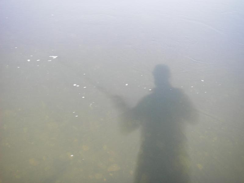 Searching for ghosts