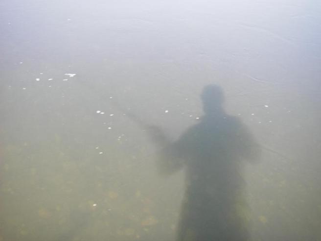 Searching for ghosts