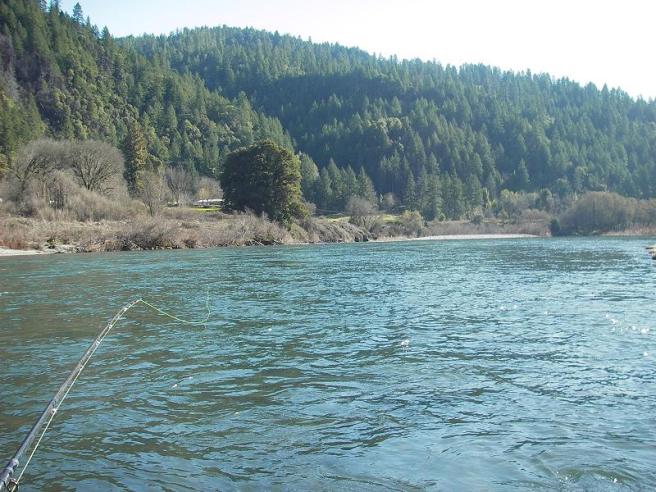 Amid bright sun and green water