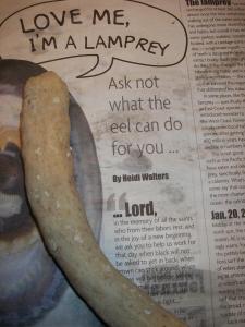 Couldn't resist... (Northcoast Journal)