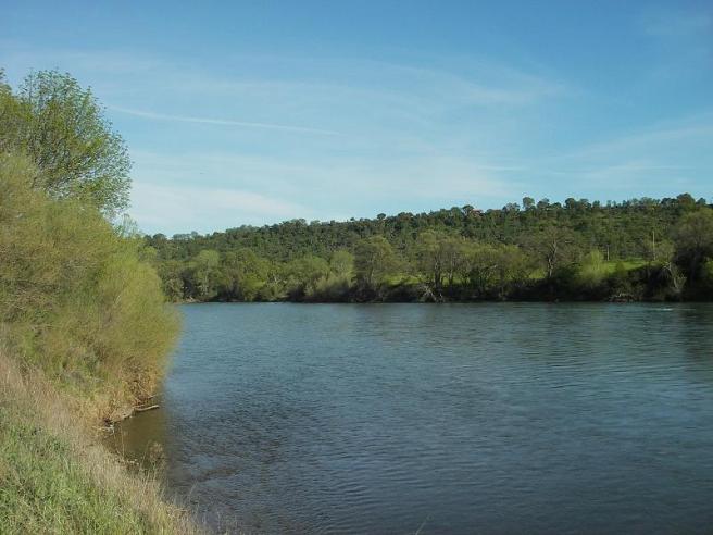 The first day of April and the beginning of a quarter mile long riffle through verdant oak woodlands.  Who cares if the fishing is so-so this afternoon!
