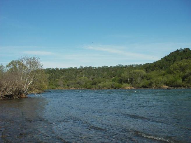 This was about as close to the water as I got here.  Didn't feel the urge to wet a line - too many other things to be consumed in.