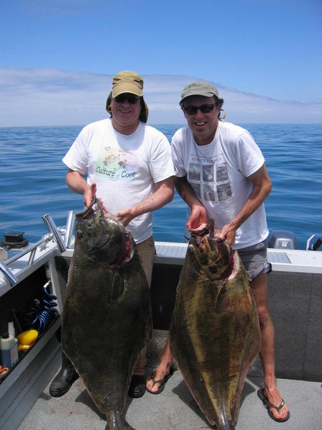 cape halibut2