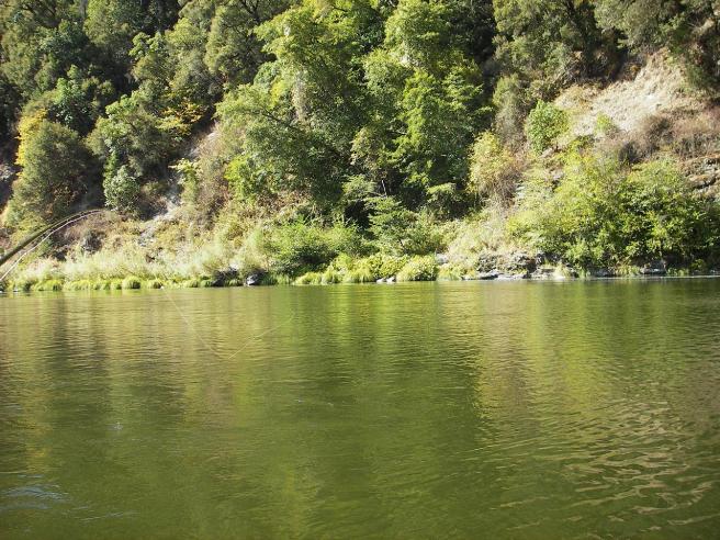 Chest deep slow water, long casts and a few surprise fish.