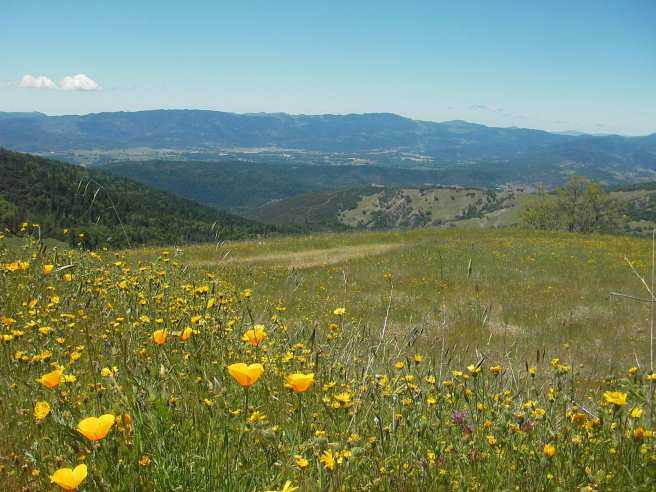 Bentley_Ridge_Round_Valley